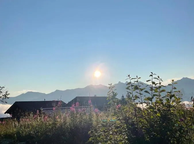 Michele Alpage Les Collons