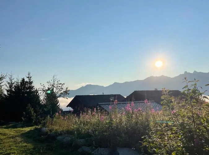 Michele Alpage * Les Collons