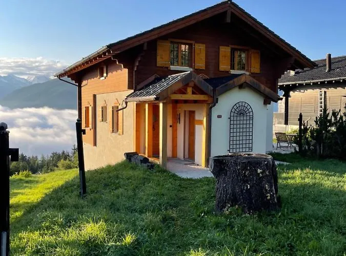 Michele Alpage Les Collons