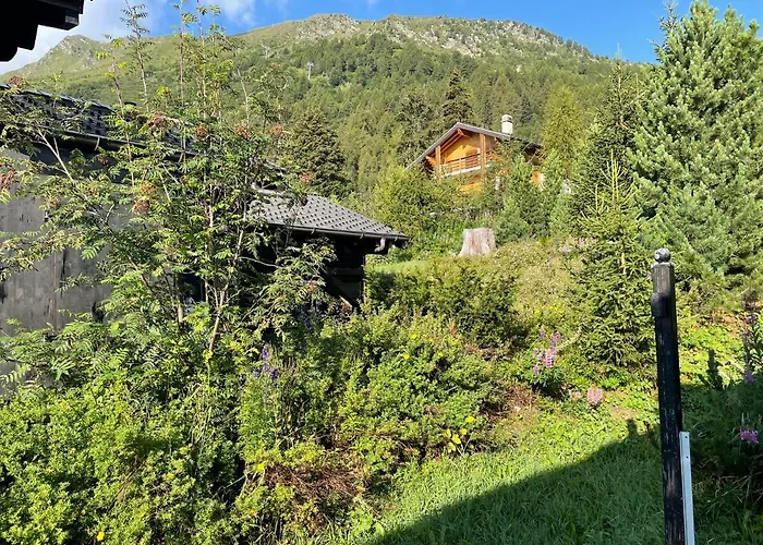 Michele Alpage * Les Collons