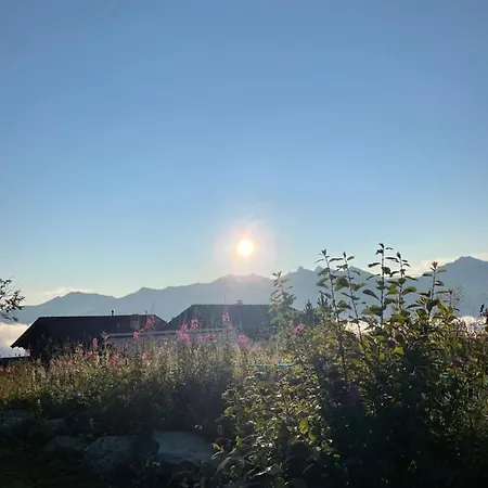 Michele Alpage Ле-Коллон